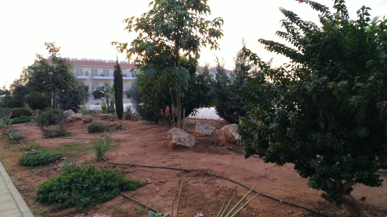 Amigos Mythical דירה